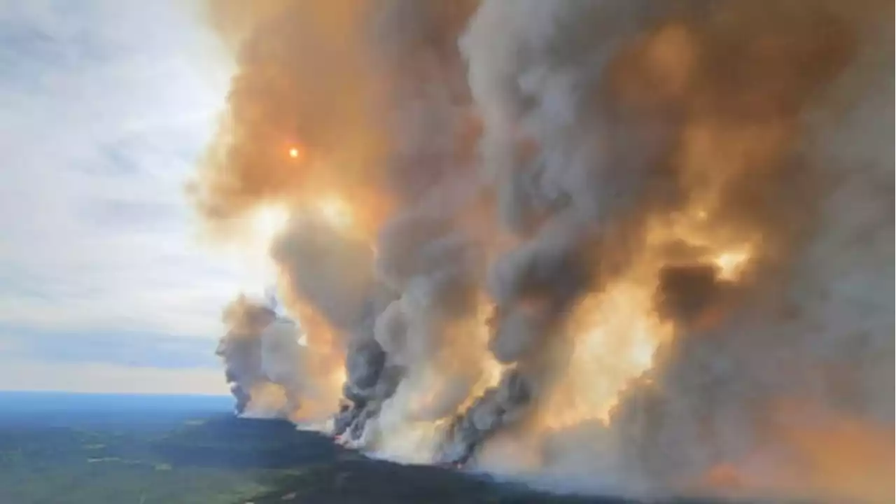 Donnie Creek wildfire in northeast B.C. now the largest recorded in province's history | CBC News