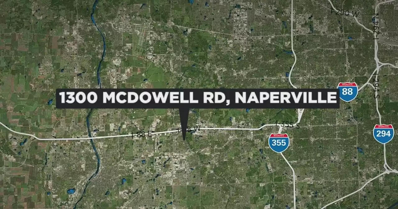 Mundelein man on parole for murder accused of trying to carjack man at gunpoint in Naperville