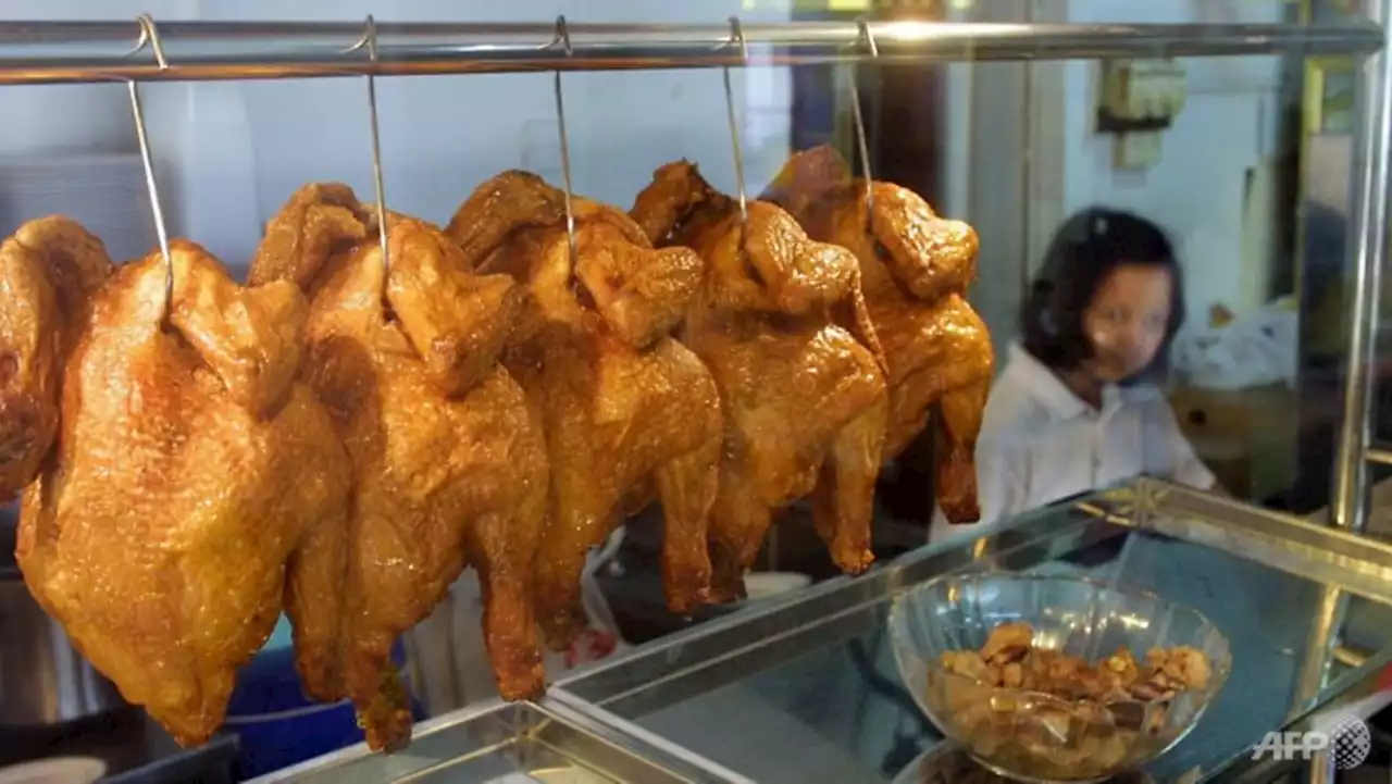 How can chicken rice be cooked in a way that avoids E. coli growth? Hawkers explain