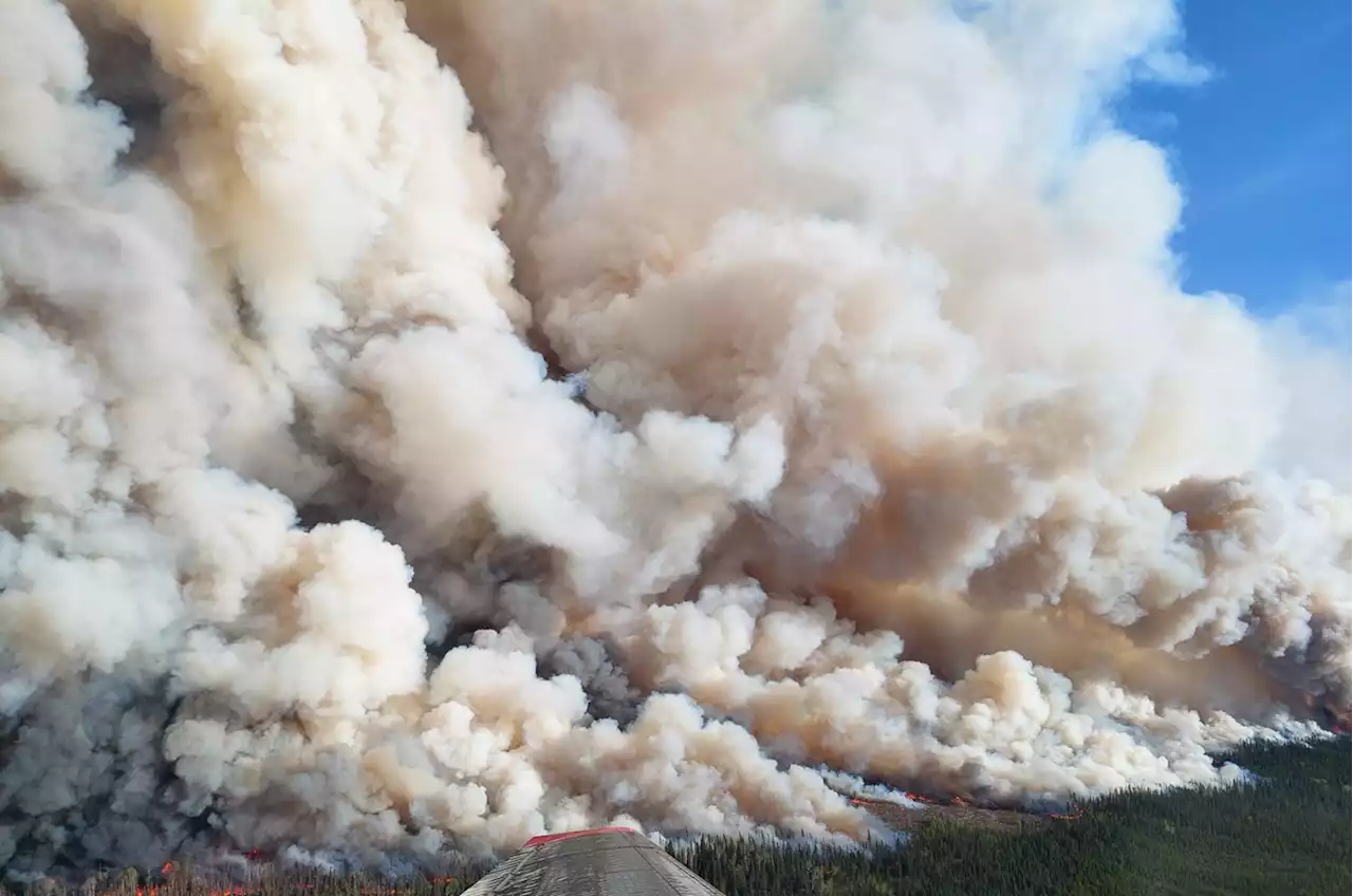 Donnie Creek Wildfire now the largest in B.C.'s history: Wildfire Service