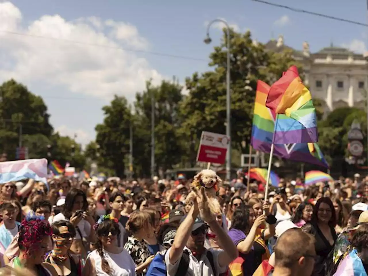 Vienna, sventato attentato al Pride: arrestati tre estremisti islamici