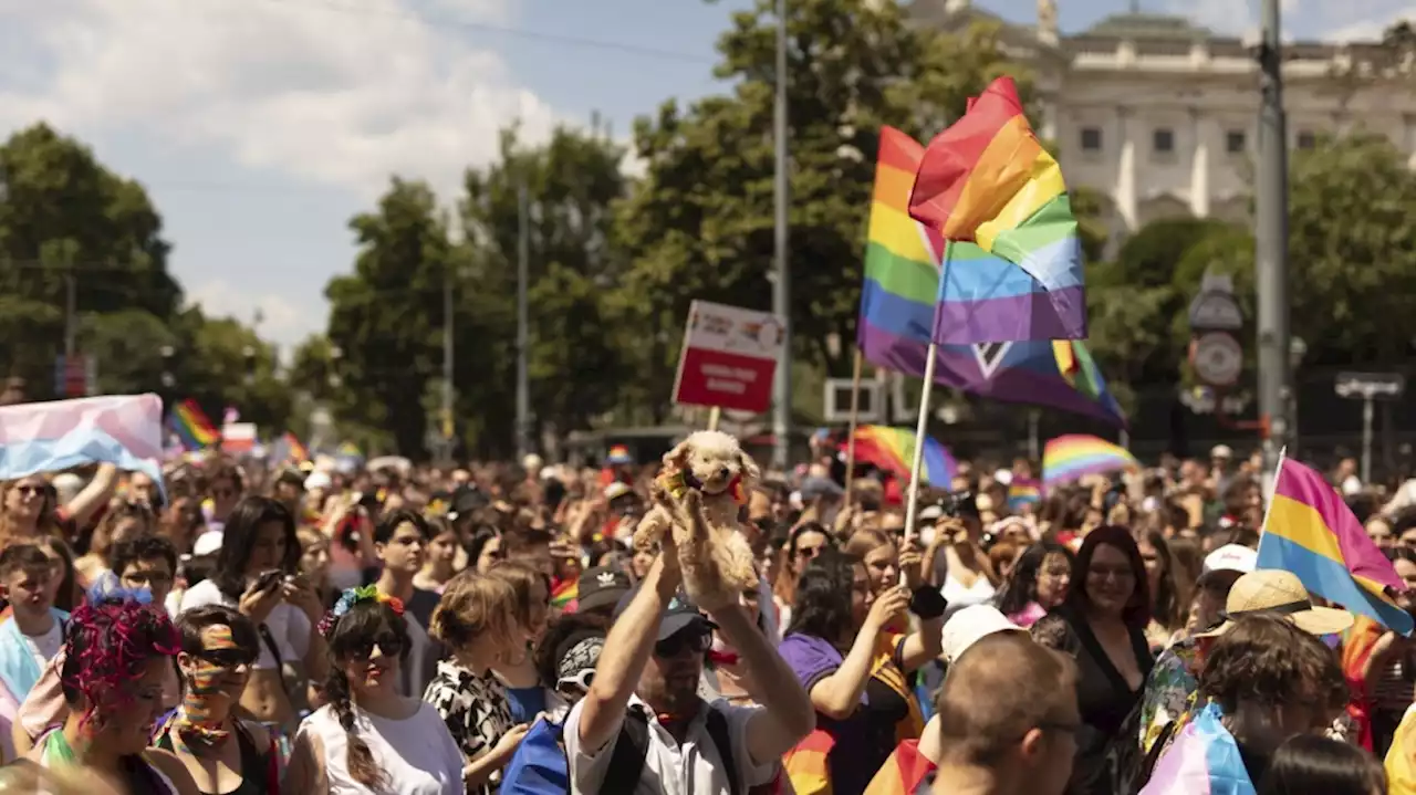 Austrians say they foiled possible attack on Vienna's Pride parade by alleged IS sympathizers