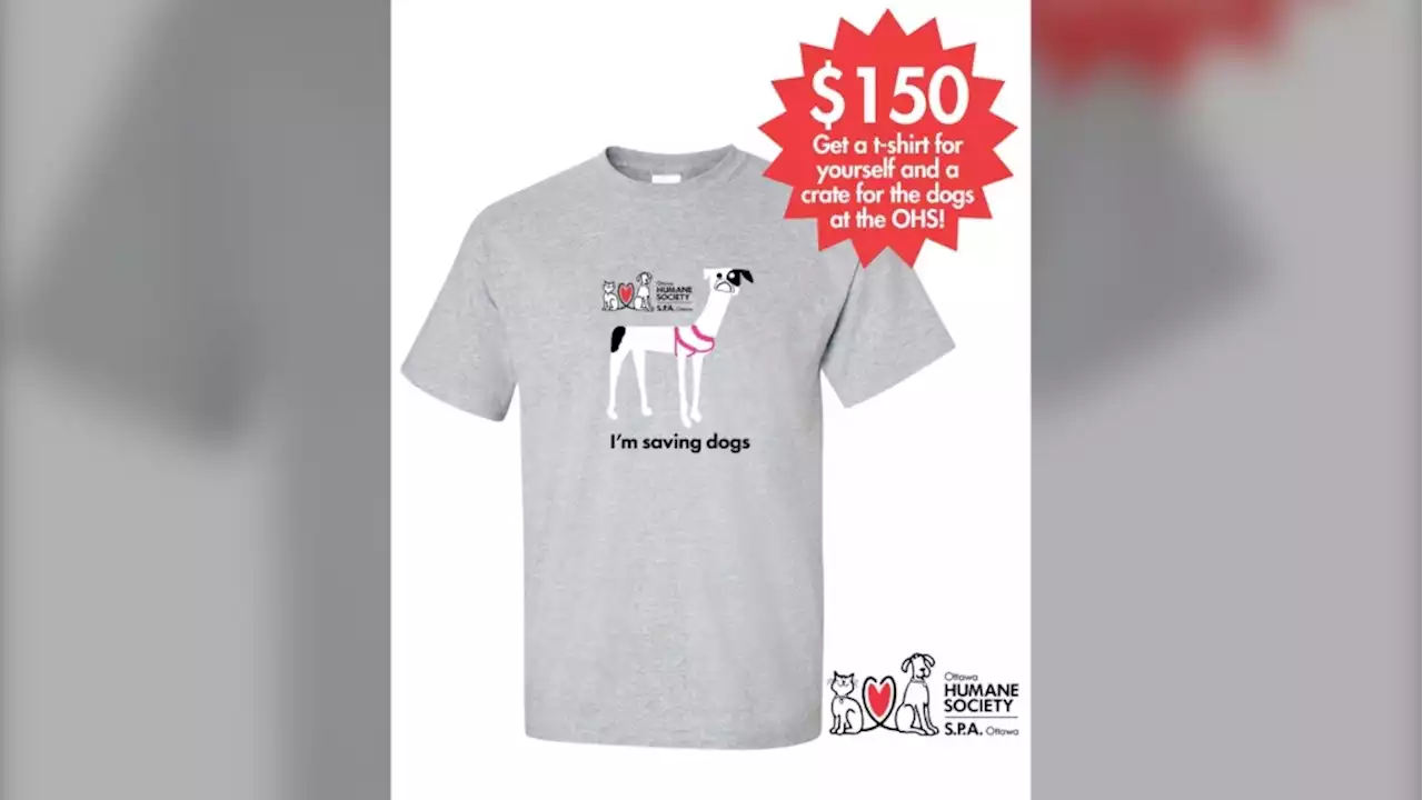 Ottawa Humane Society selling special $150 shirt, which includes a crate for a dog