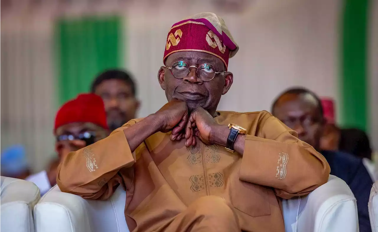 Subsidy Removal: Introduce measures to ameliorate hardship - Nigerians in UK urge Tinubu