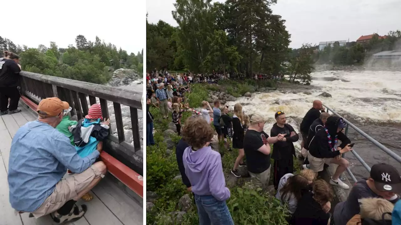 BILDEXTRA: Stora som små samlades vid Älvkarlebyfallen