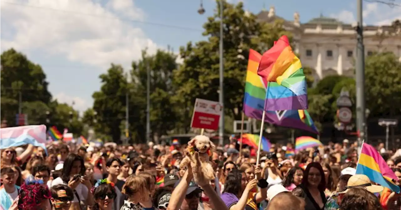 Vienna’s Pride parade was target of attack plot by alleged ISIS supporters - National | Globalnews.ca