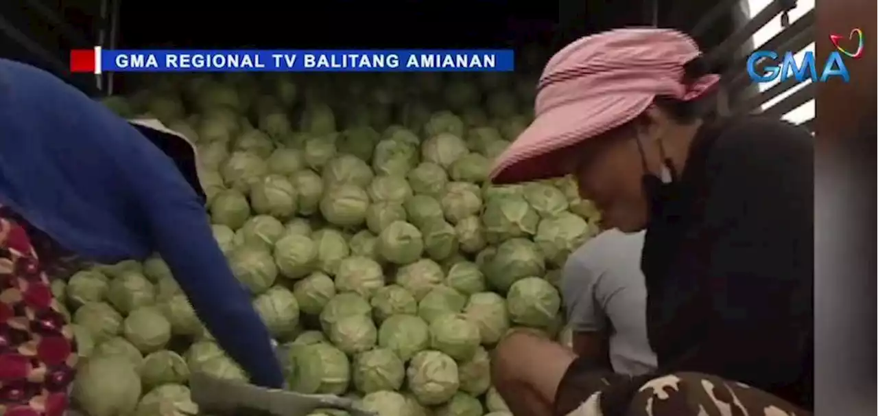 Prices of Benguet vegetables seen to drop once weather normalizes —SINAG