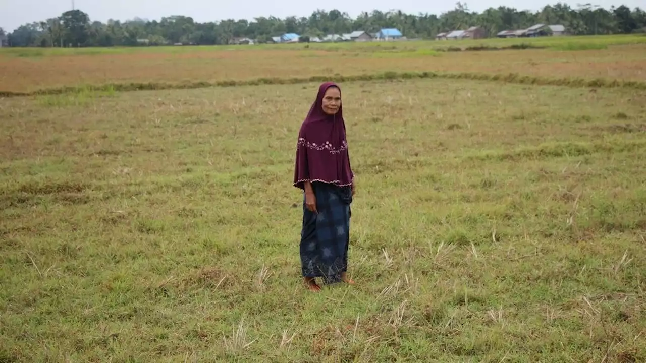 Rehabilitasi Bendung Molor, 8.900 Hektar Sawah di Aceh Utara Kekeringan