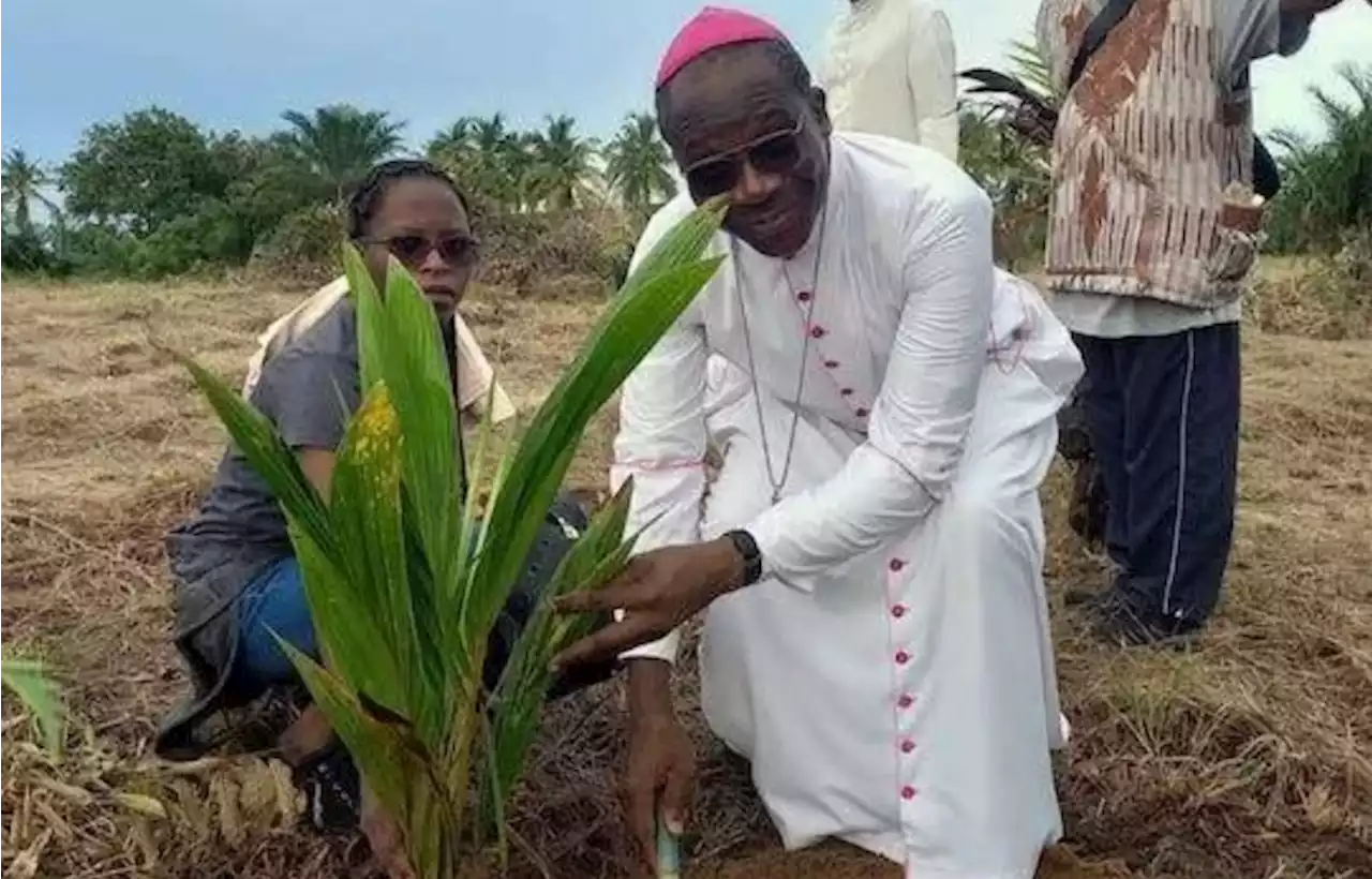 Planting a tree is an act of faith, hope and charity