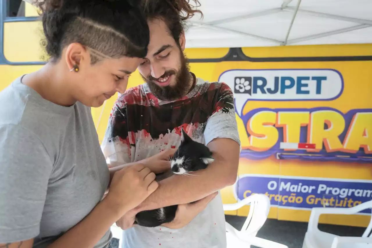 Programa estadual de castração de cães e gatos realizou 270 mil atendimentos em um ano e meio