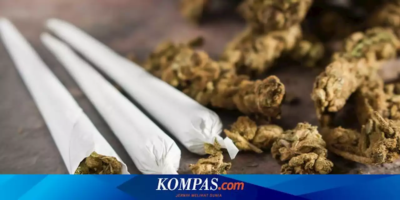 2 Mahasiswa di Balikpapan Ditangkap Usai Ambil Pesanan Ganja di Ekspedisi