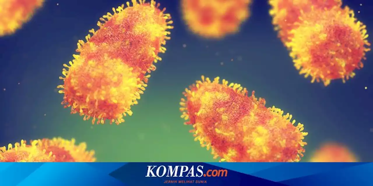 Cegah Penularan Rabies, Dinas KPKP DKI Gencarkan Vaksinasi