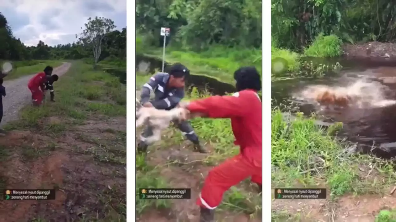 Viral Pekerja Lemparkan Anjing untuk Buaya Sambil Ketawa-ketawa, Ini Pandangan Islam