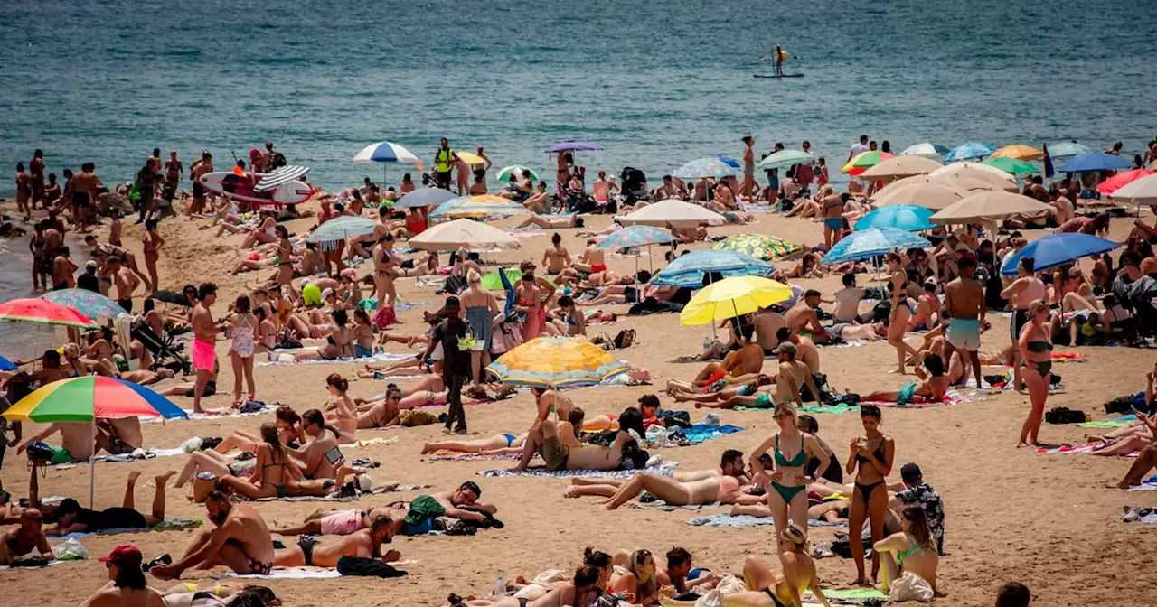 Dog poo and chemical spills see 48 Spanish beaches handed 'black flag'