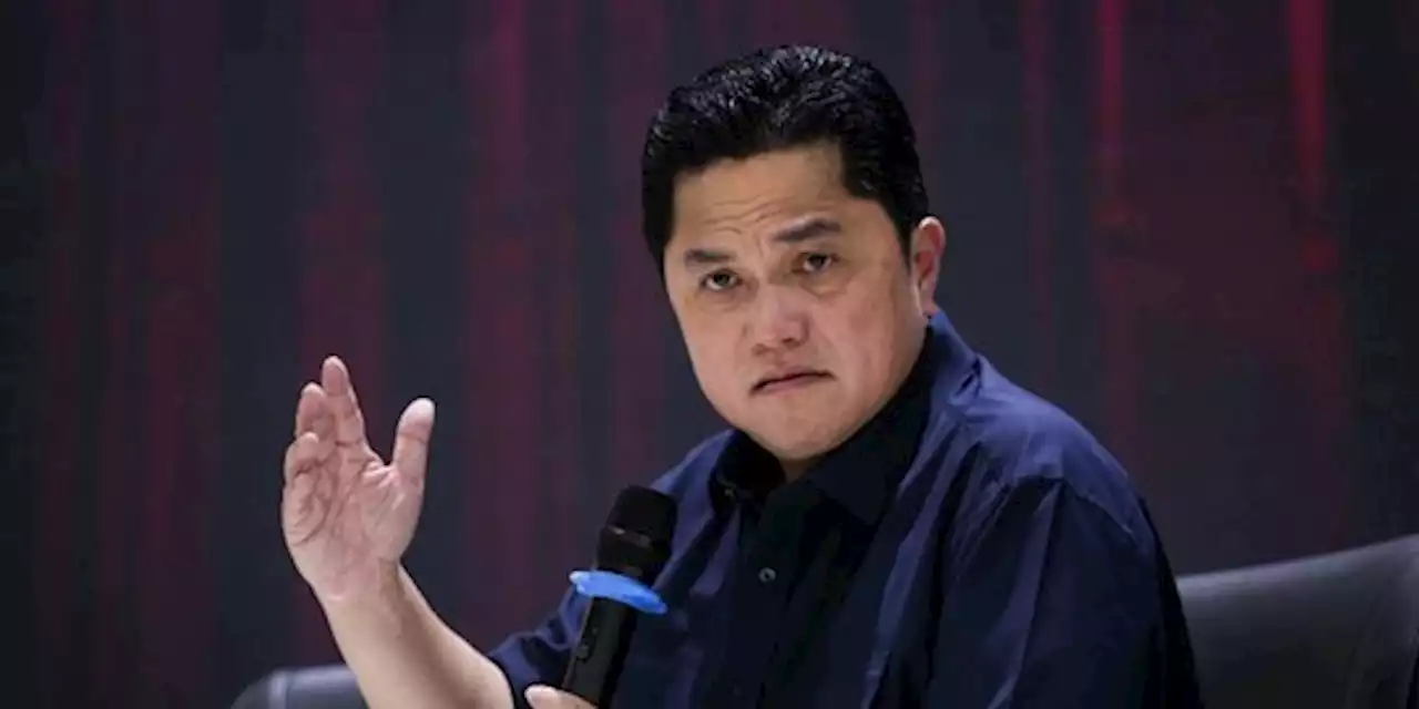 PAN Sodorkan Erick Thohir Cawapres Prabowo, Gerindra: Wajar Jika Ada Syaratnya | merdeka.com