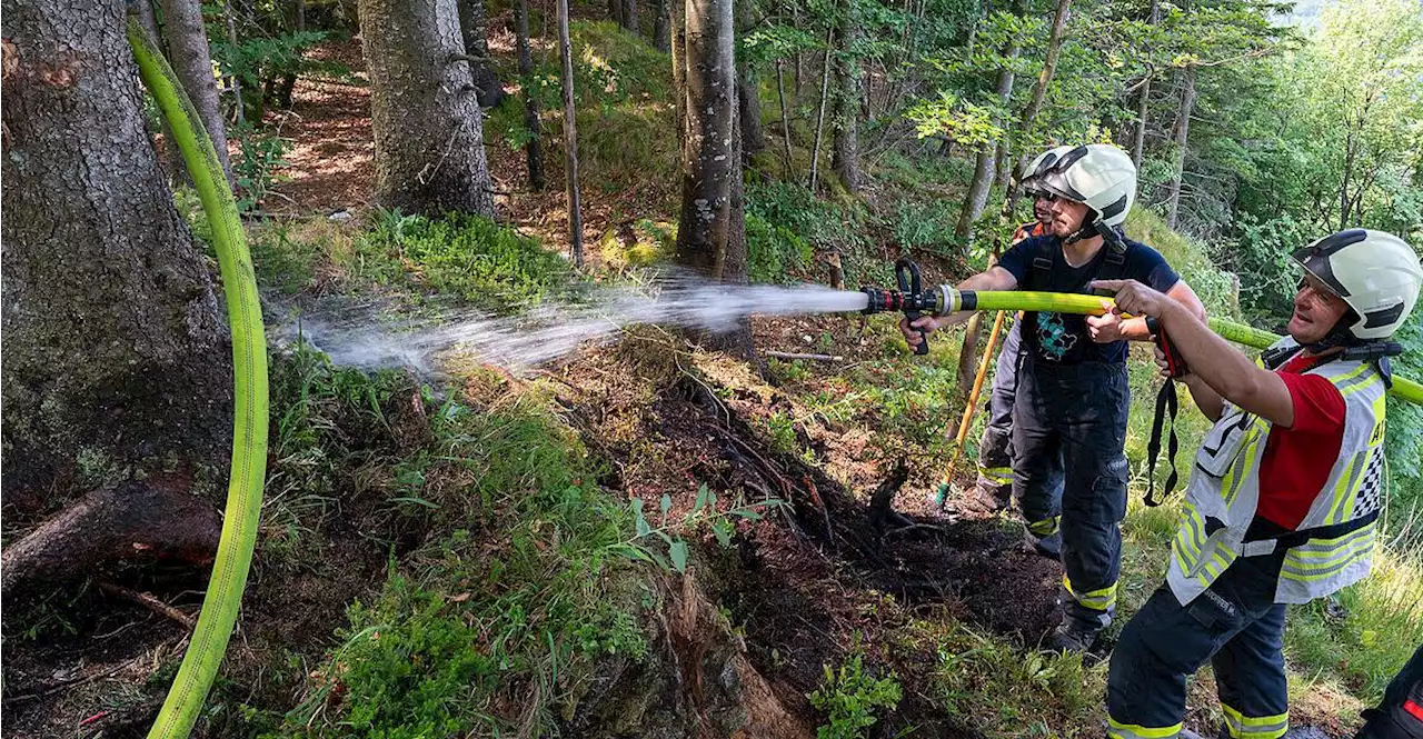 Großeinsatz im Salzkammergut nach Feuer im Waldgebiet