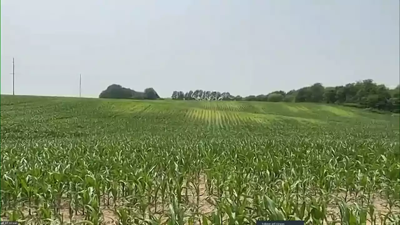 Lack of severe weather helping fuel Chicago-area drought, NWS says