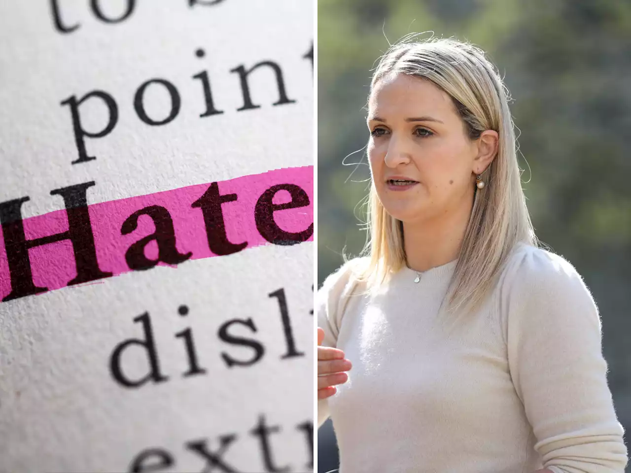 ‘You can still offend people under hate speech legislation’ - McEntee