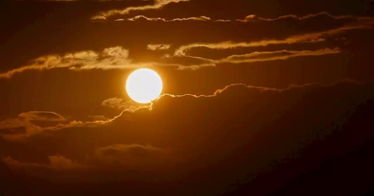 Por ola de calor en México, familia murió dentro de un carro buscando aire acondicionado