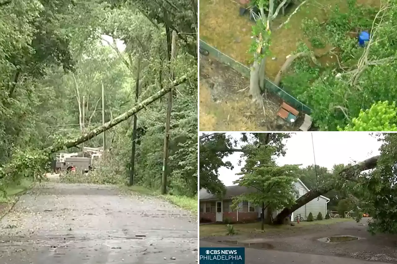 NJ faces 9th tornado of 2023, with twister taking down trees, power line