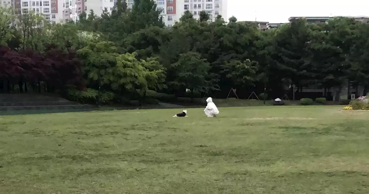 유인원에 빠진 세 과학자들이 예측하지 못한 결과