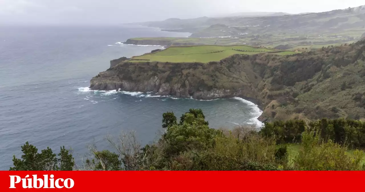 PJ apreendeu este ano nos Açores droga equivalente a 90% do total de 2022