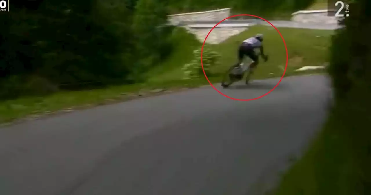 Giro di Slovenia, Filippo Zana precipita in una scarpata: il video della caduta