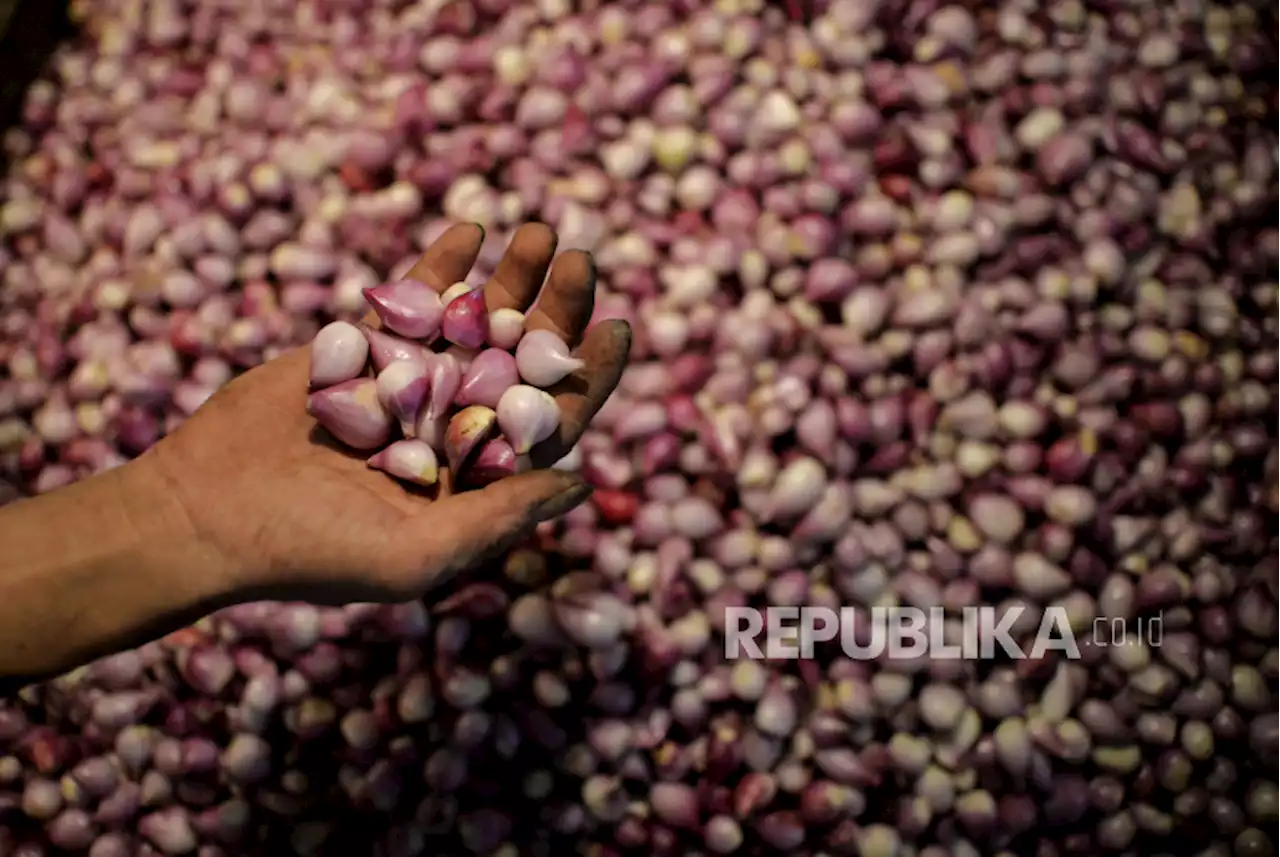 Harga Bawang dan Cabai di Lampung Naik Jelang Idul Adha |Republika Online