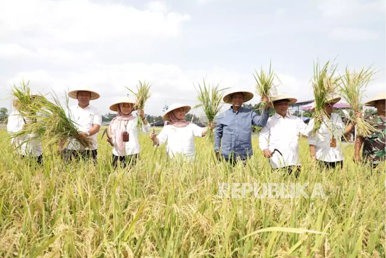 Jaga Stok Beras Stabil, Petani Diimbau Tanam Padi Lebih Cepat |Republika Online