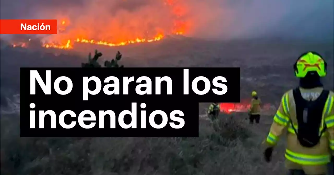 Atención: Continúan incendios forestales en el sitio Cerro Gordo de Mosquera, cerca de Bogotá