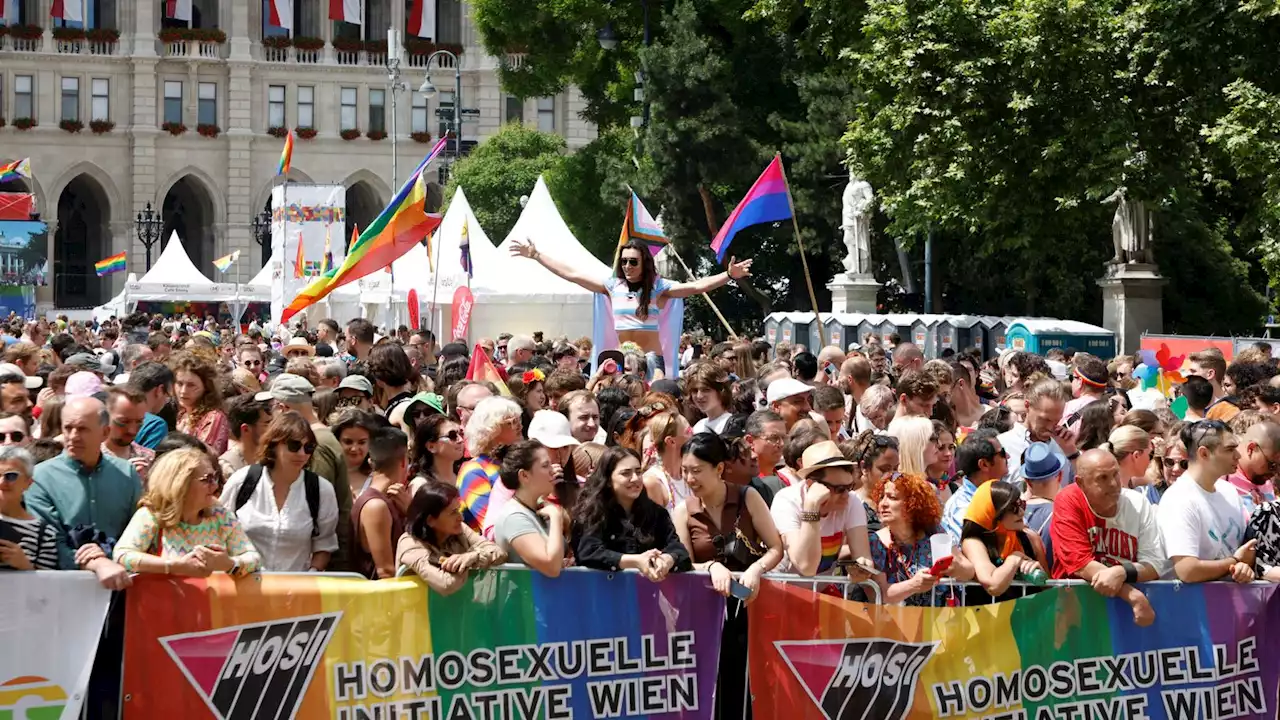 Vienna Pride attack planned by alleged IS sympathisers foiled by authorities