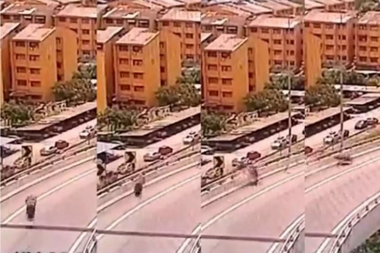 Man in Malaysia surrenders after riding against traffic, causing motorcyclist to fall 30m to his death