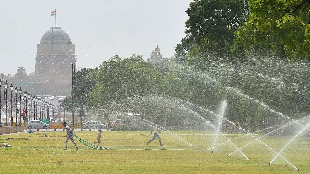 Massive Heat Wave in India Kills Nearly 100