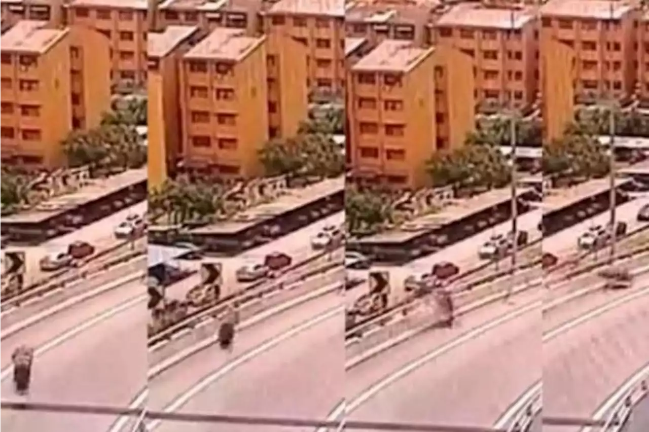 Man in Malaysia rides against traffic, causing another motorcyclist to fall 30m to his death