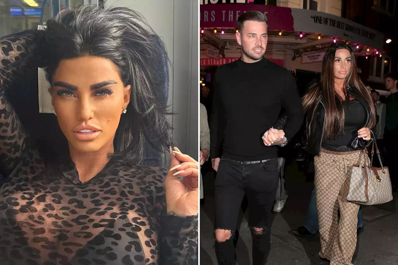 Newly-single Katie Price stuns fans in see-through top as she glams up