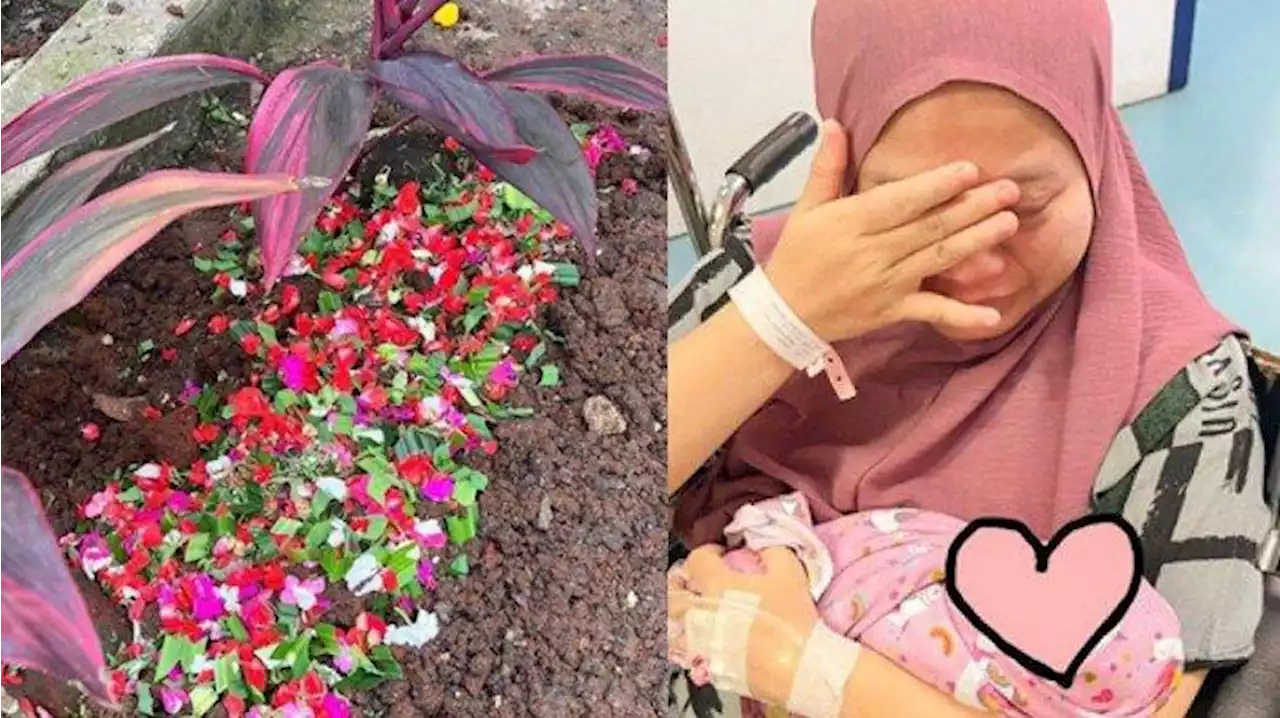 Pilunya Nasib Artis Kehilangan Satu Bayi Kembar Usai Melahirkan, Muzdalifah Minta Doa: Al Fatihah - Tribunnewsbogor.com