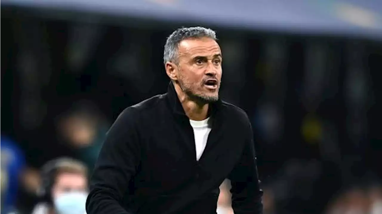 L'Equipe - Il PSG ha scelto Luis Enrique: ultimi dettagli da limare, lo spagnolo sarà il nuovo tecnico - TUTTOmercatoWEB.com