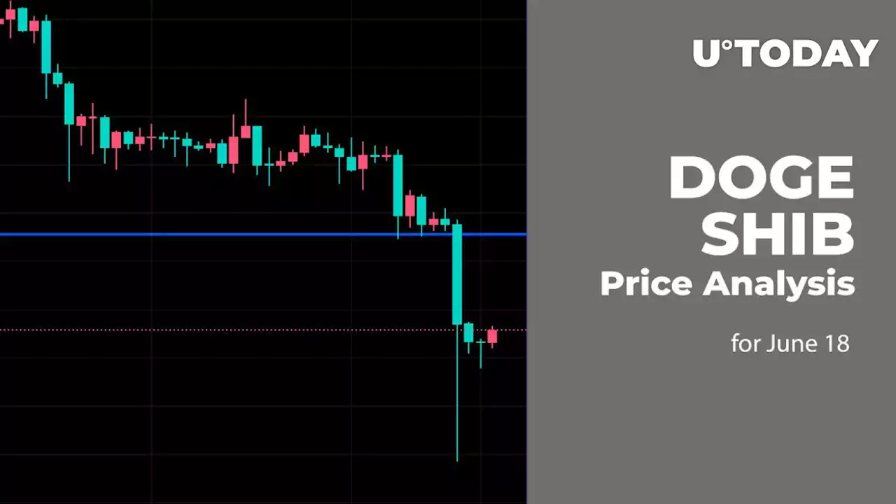 DOGE and SHIB Price Analysis for June 18