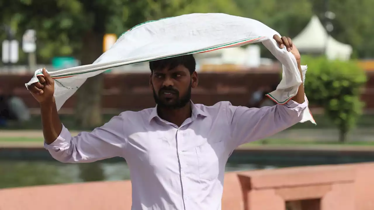 62 muertos en India y México por calor extremo: 45 grados de temperatura