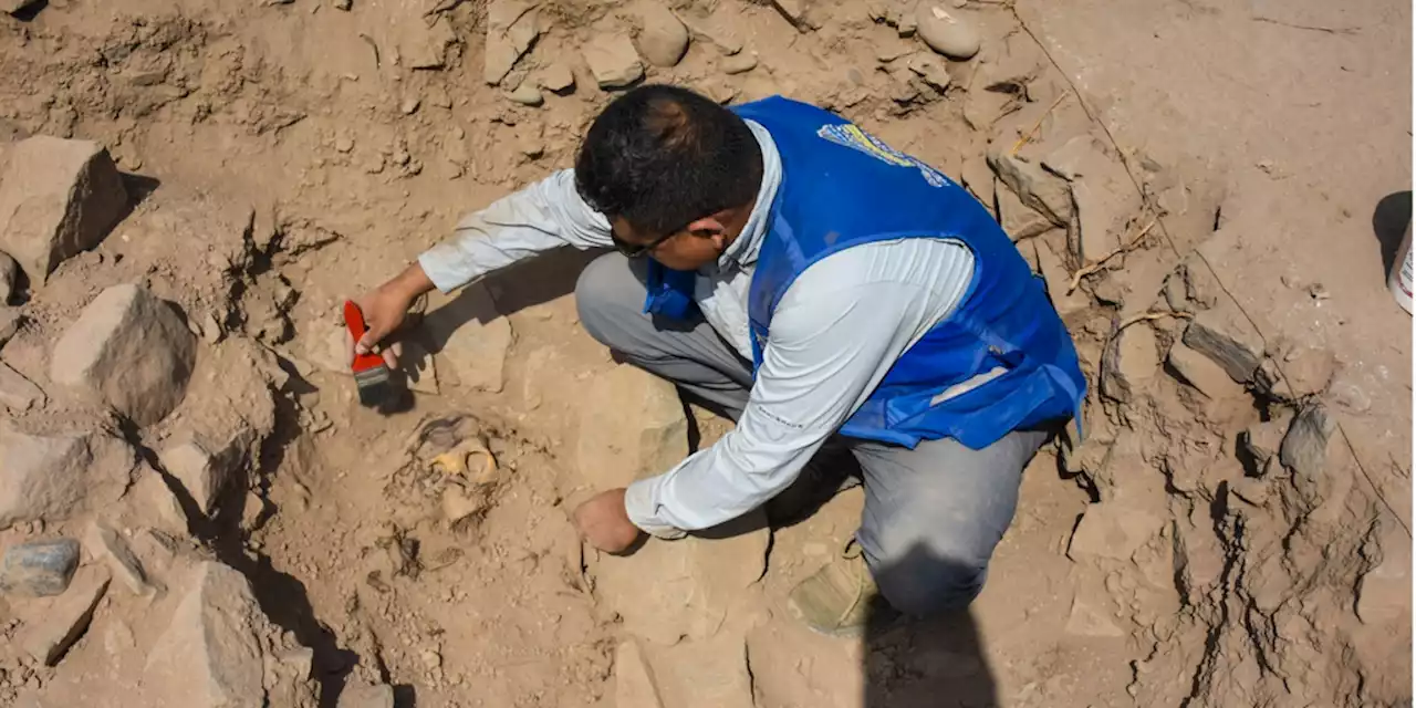 Hallan una momia Manchay de hace 3.000 años a las afueras de Lima