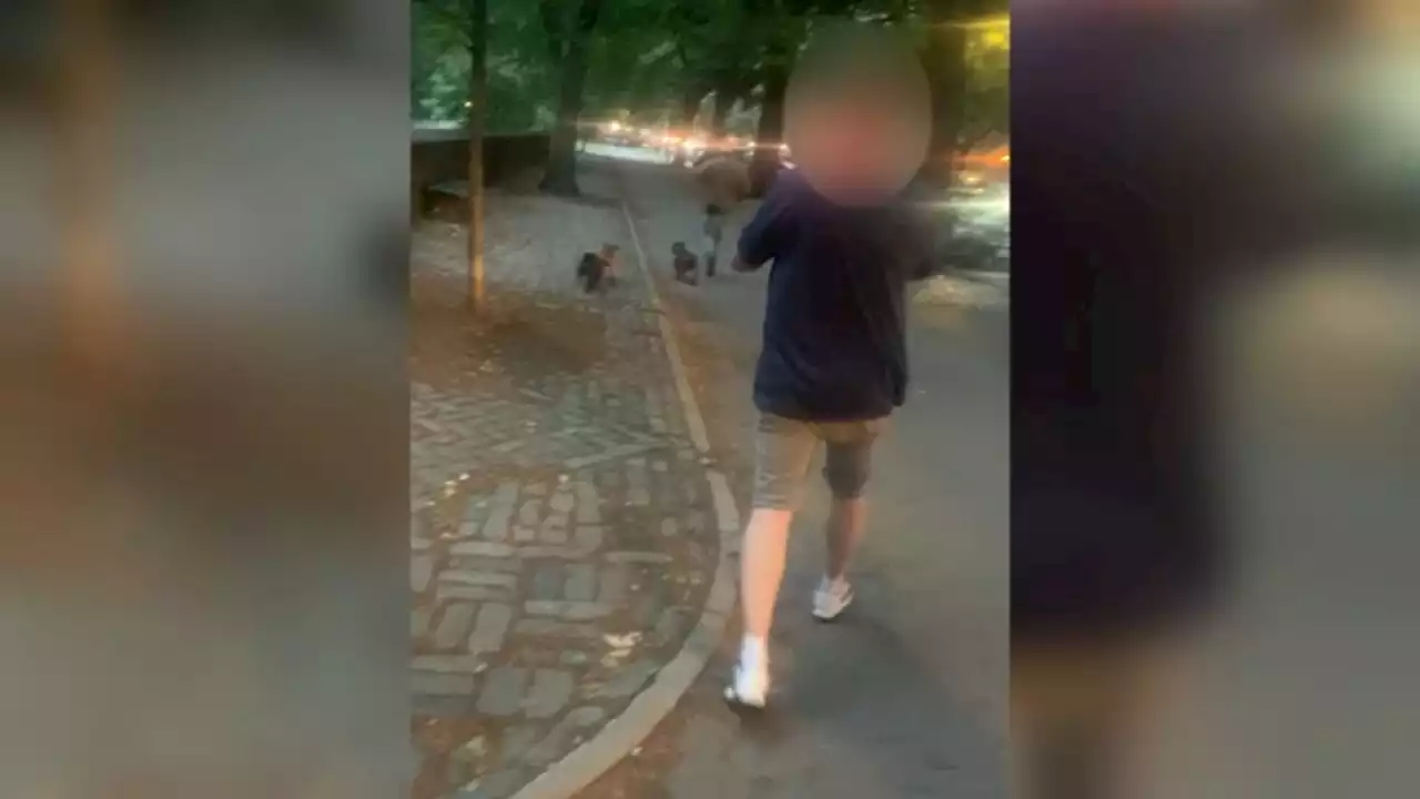 Police seek suspect after dog killed in Central Park, New York