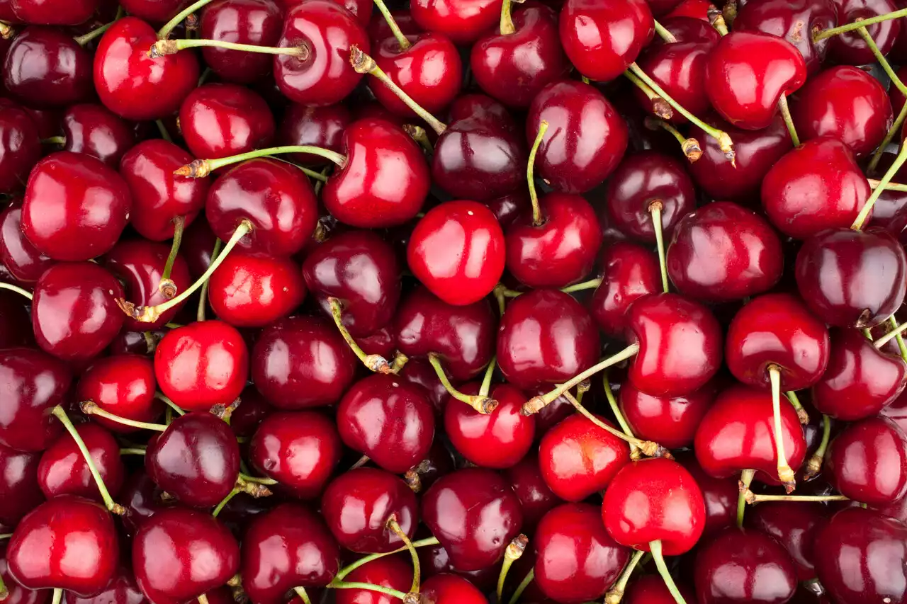 Cerises : pourquoi coûtent-elles aussi cher cette année ?