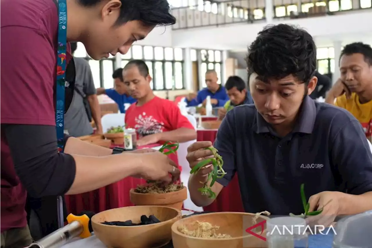 Kemensos tingkatkan taraf hidup KPM melalui budi daya tanaman hias