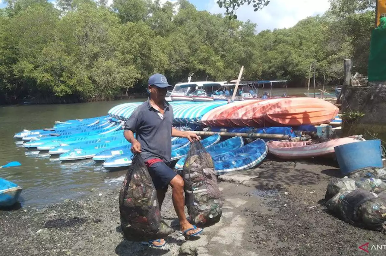 Nelayan pungut tiga ton sampah plastik per minggu di mangrove Bali