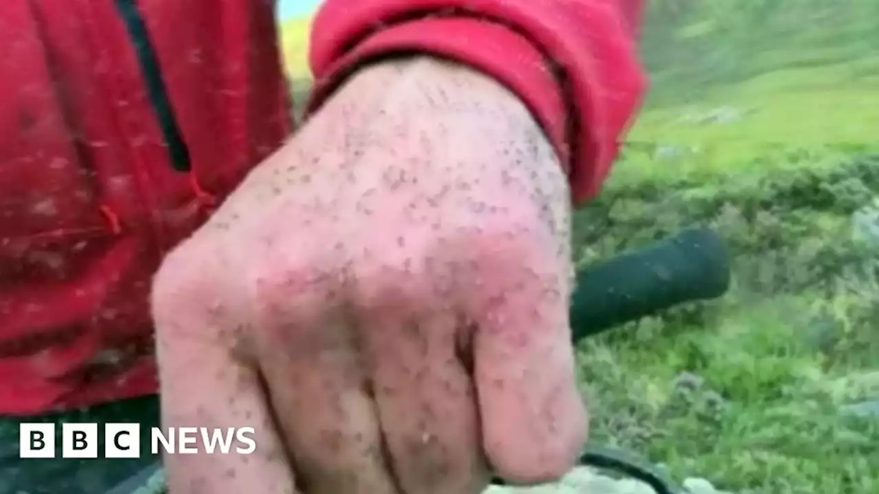 Bumper midge hatch alert after warm spell