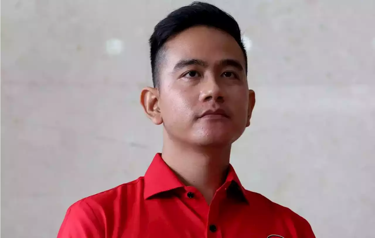 Survei Pilgub DKI: Gibran Paling Populer, Ridwan Kamil Paling Disukai