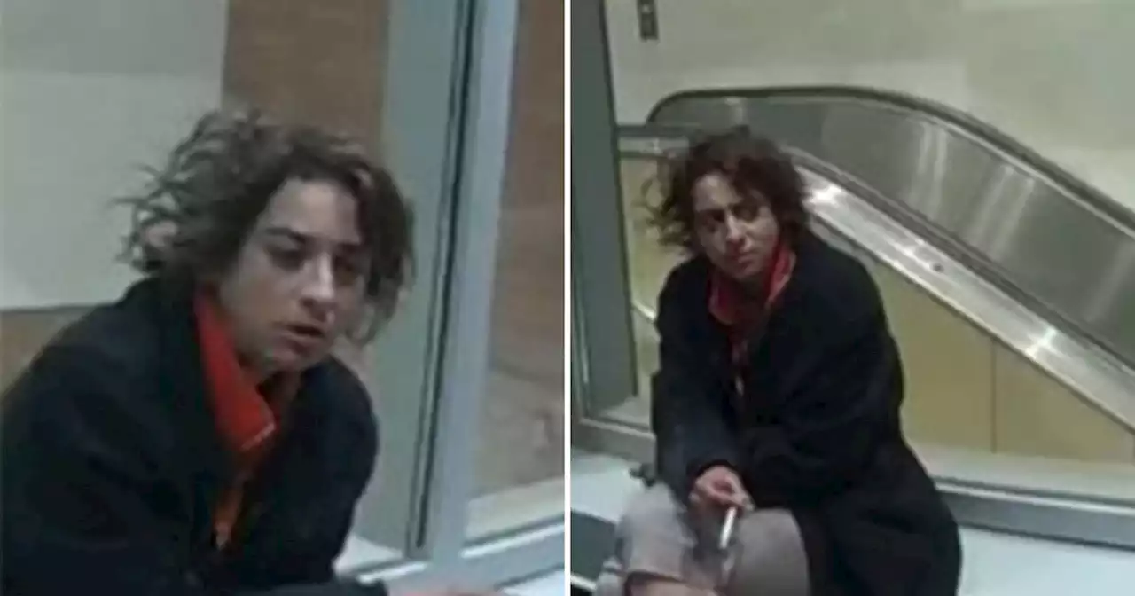 Screaming racist woman wanted in alleged TTC subway hate crime investigation