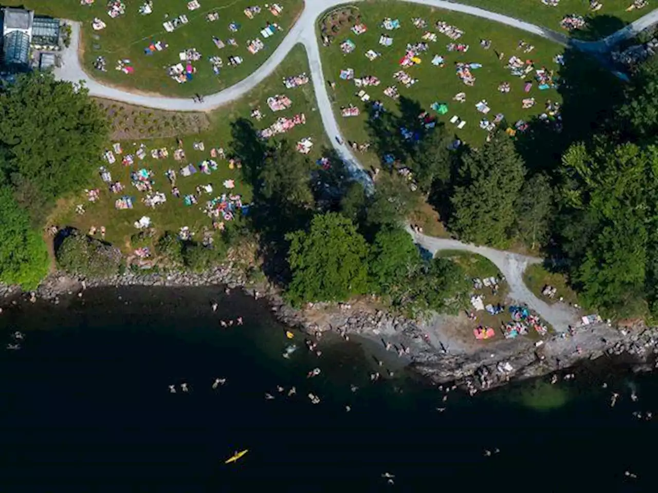 Badeplasser i Bergen: Hvor kan du bade og hva er badetemperaturene?