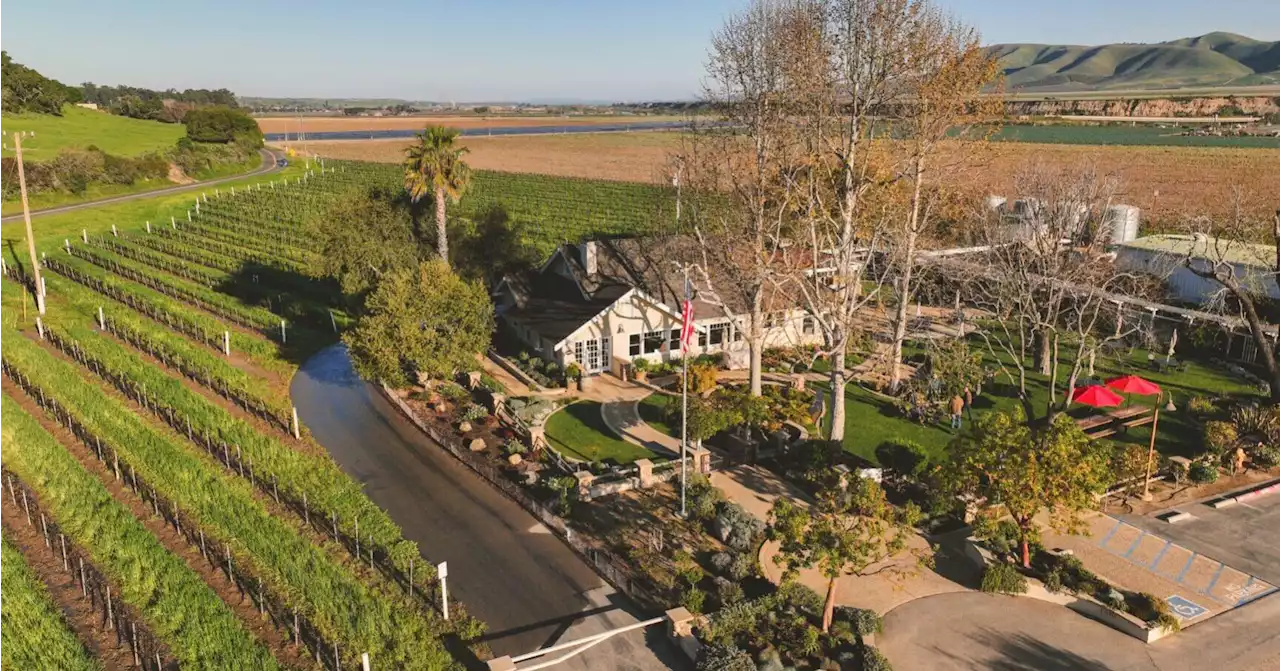 Riverbench Vineyard and Winery celebrates 50 years in the Santa Maria Valley