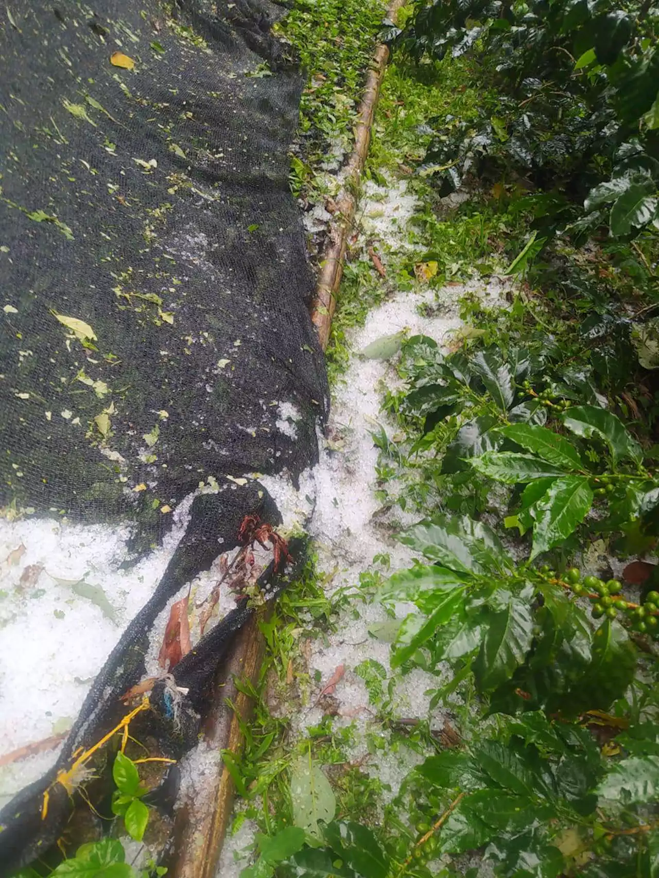 Fuertes lluvias no dan tregua en Santander, hubo hasta granizadas